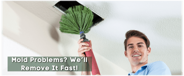 Air Duct Mold Removal in Keller TX