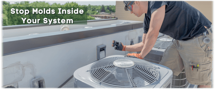 HVAC Mold Removal Keller TX